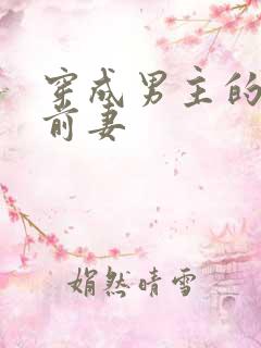 穿成男主的炮灰前妻