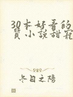 30本好看的肉质小说甜宠文