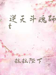逆天斗魂师txt