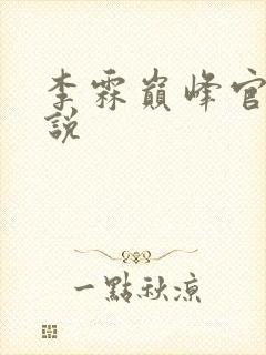 李霖巅峰官场小说