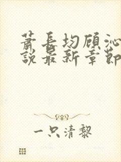 萧长均顾沁儿小说最新章节免费阅读