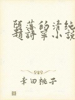 堕落的清纯校花赵诗宁小说免费阅读