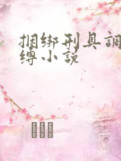 捆绑刑具调教束缚小说