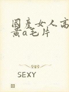 国产女人高潮特黄a毛片