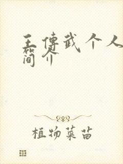 王传武个人资料简介