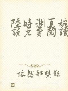 陆时渊夏婉婷小说免费阅读最新章节