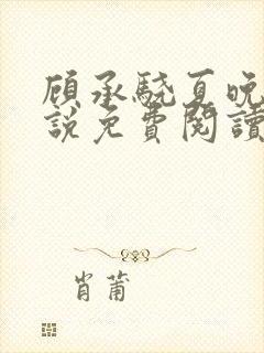 顾承骁夏晚宁小说免费阅读最新章节