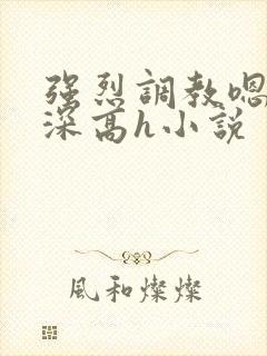 强烈调教嗯啊好深高h小说