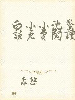 白小小沈惊觉小说免费阅读