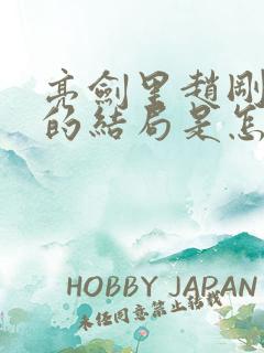 亮剑里赵刚最后的结局是怎么样的