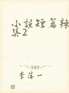 小说短篇辣文合集2