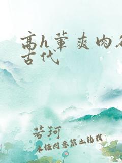 高h荤爽肉欲文古代