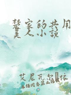楚家的共用双性美人小说