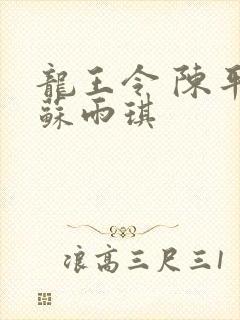 龙王令 陈平 苏雨琪