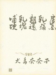 哺乳期乳房里有硬块还痛怎么办