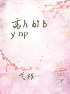 高h bl by np