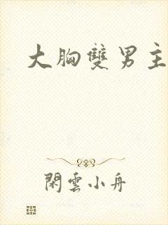 大胸双男主小说