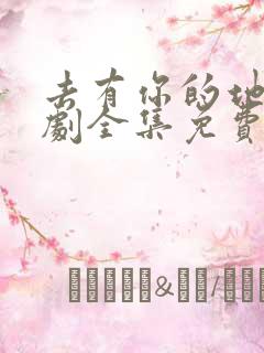 去有你的地方短剧全集免费