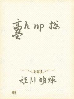 高h np 总受