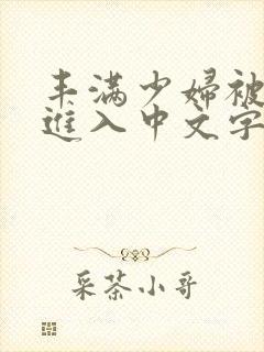 丰满少妇被猛烈进入中文字幕