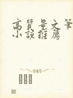 高质量文笔好的小说推荐