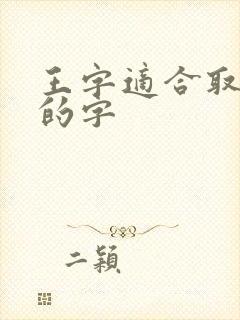 王字适合取名字的字