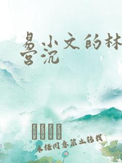易小文的林知意宫沉