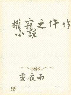 权宠之仵作医妃 小说