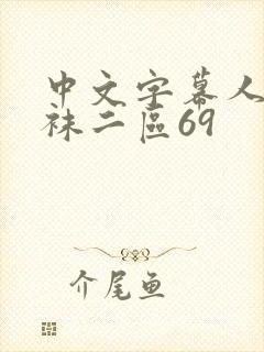 中文字幕人妻丝袜二区69