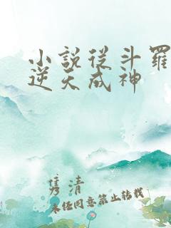 小说从斗罗开始逆天成神