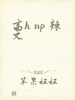 高h np 辣文