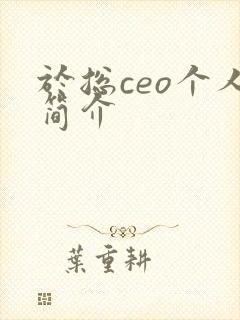 于总ceo个人简介