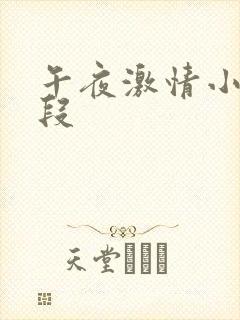 午夜激情小说片段