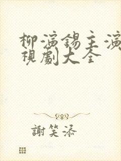 柳演锡主演的电视剧大全