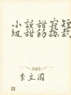 小说甜宠短篇超级甜的总裁文