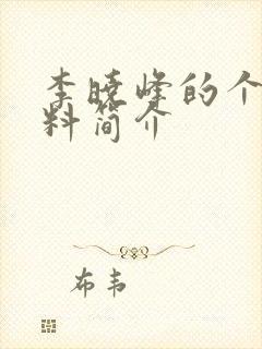 李晓峰的个人资料简介