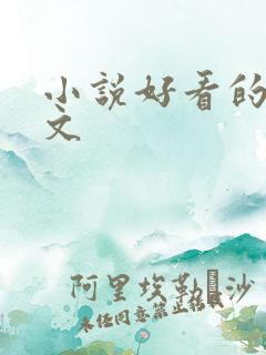 小说好看的甜宠文