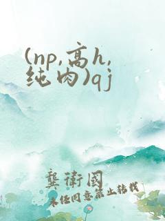 (np,高h,纯肉)qj