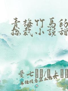 青梅竹马的霸道总裁小说甜宠文