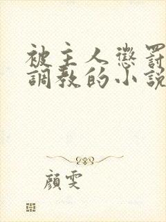 被主人惩罚玩弄调教的小说