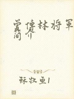 曾传林将军生平简介