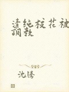 清纯校花被地狱调教