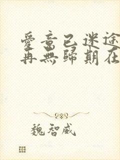 爱意已迷途,将再无归期在线阅读