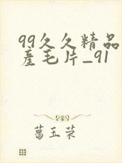 99久久精品国产毛片_91