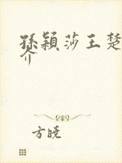 孙颖莎王楚钦简介