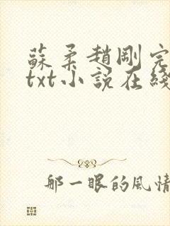 苏柔赵刚完整版txt小说在线阅读