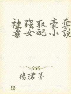 被强取豪夺的恶毒女配小说