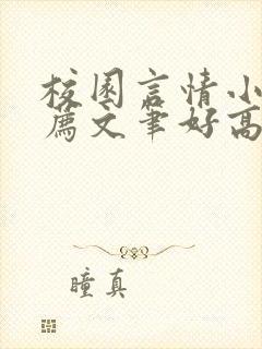 校园言情小说推荐文笔好高质量完结