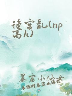 后宫乱(np 高h)