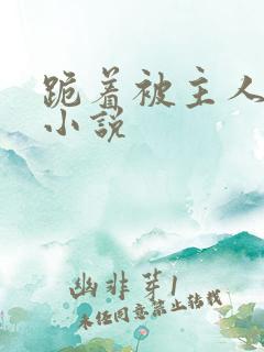 跪着被主人调教小说